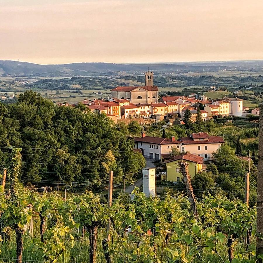 Peterc Vineyard Estate Bed & Breakfast Kojsko Exterior photo